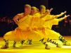 쿵푸, 中-佛 수교 50주년 ‘중국의 밤’ 행사에서 선보여