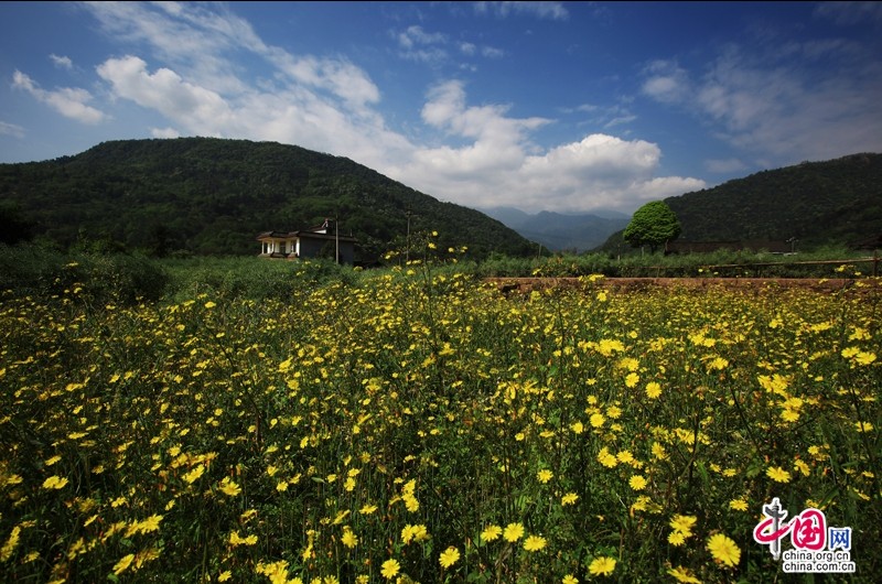 Апрель: лучшее время для любования цветами в горах Эмэйшань_1