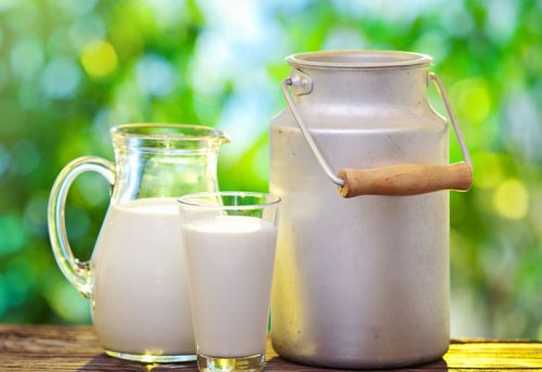 多喝牛奶可有效预防老年痴呆症_健康
