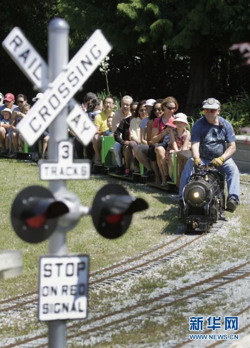 夏日·森林·小火车 夏日感受加拿大迷你铁路