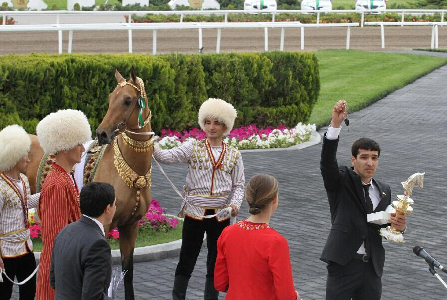 Самого красивого коня выбрали в Туркменистане_1