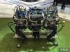 В Пекине представлен китайский четырехногий робот