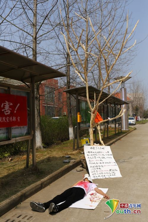 孤单单的一颗筷子树。中国青年网通讯员 赖鹏 摄
