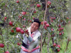 Фруктовые сады стали основой благополучия фермеров в уезде Фуминь